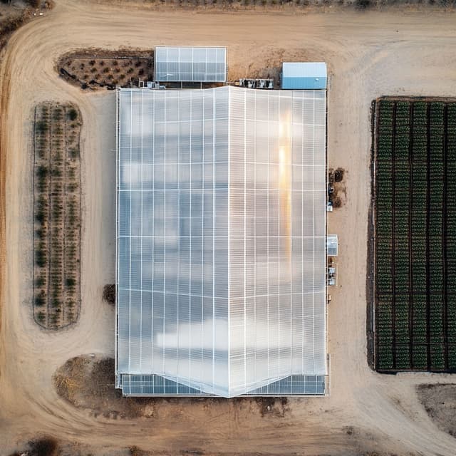 Portfolio project 19