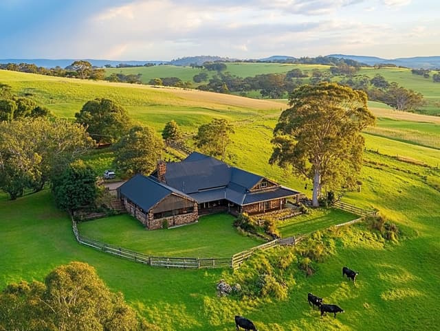 Portfolio project 21